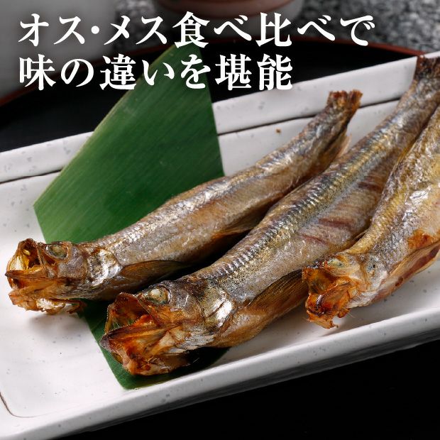 ししゃも 白糠漁協 一夜干し本ししゃも40尾(オス・メス各20尾)｜食べレア北海道