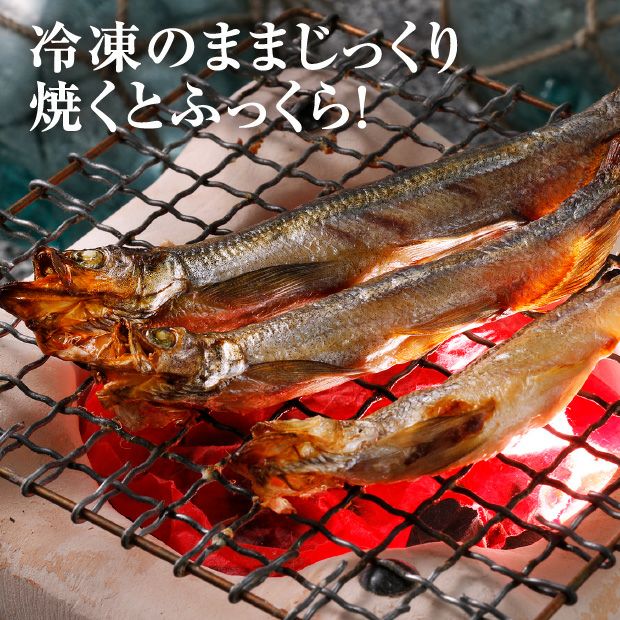 白糠漁協 一夜干し本ししゃも40尾(オス・メス各20尾)｜食べレア北海道