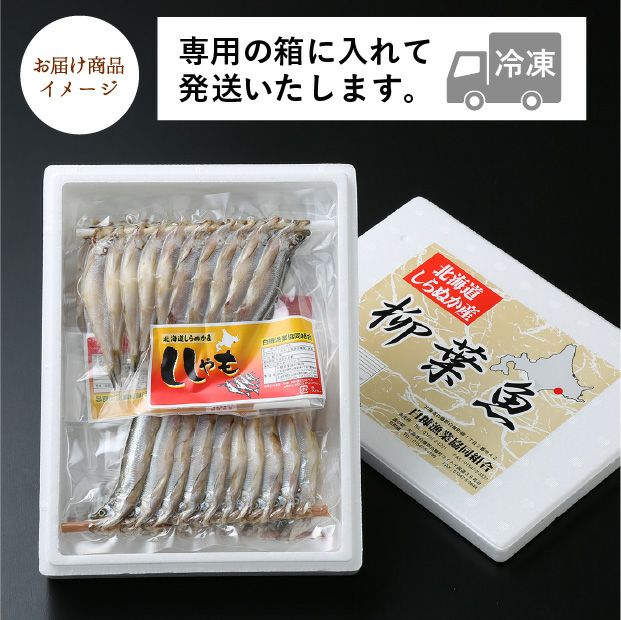 一夜干し本ししゃも