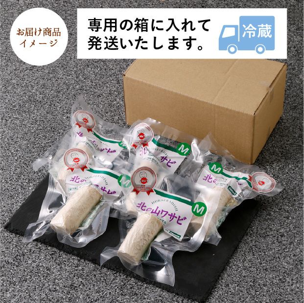 北の山わさび 根茎Mサイズ 5個セット