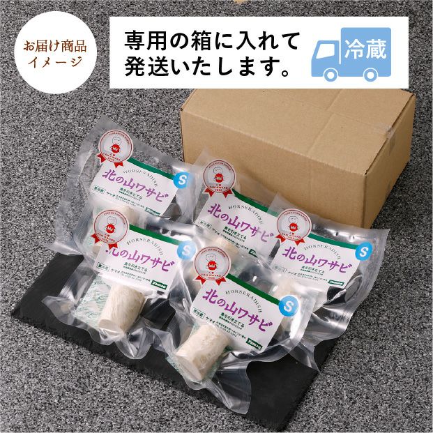北の山わさび 根茎Sサイズ 5個セット