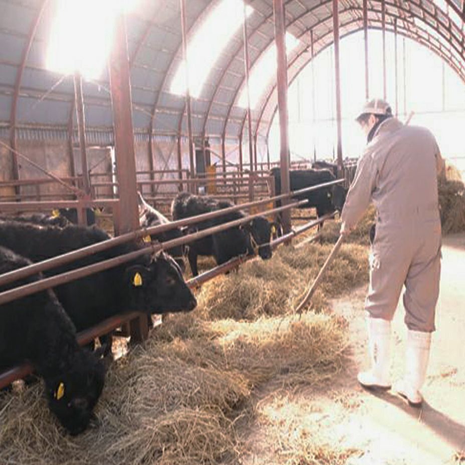 さらべつ和牛ビーフカレー