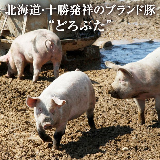 エルパソ どろぶた詰め合わせ｜帯広 食肉加工品 セット ｜食べレア北海道 物産 お取り寄せ