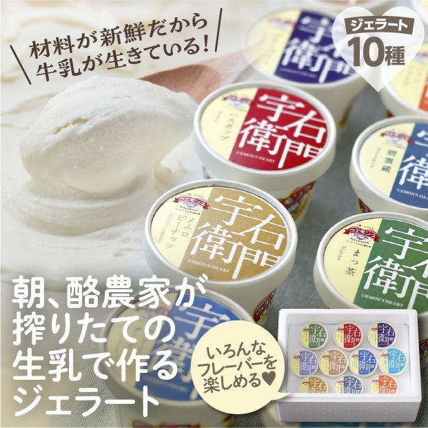 10種のジェラートセット