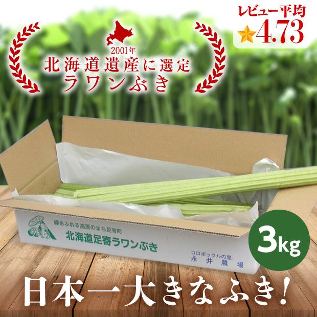 若採り生ラワンぶき 3.0kg