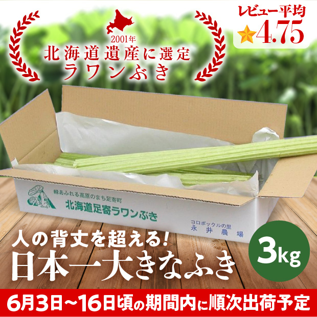 若採り生ラワンぶき 3.0kg