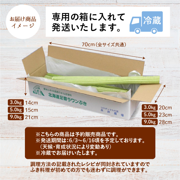 若採り生ラワンぶき 3.0kg