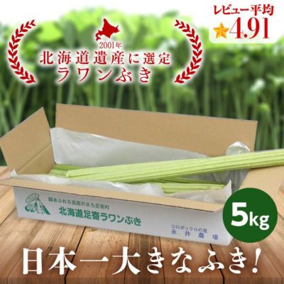 若採り生ラワンぶき 5.0kg【足寄(あしょろ)町特産】