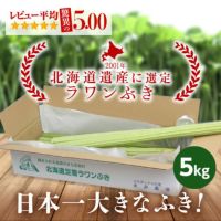 若採り生ラワンぶき 5.0kg