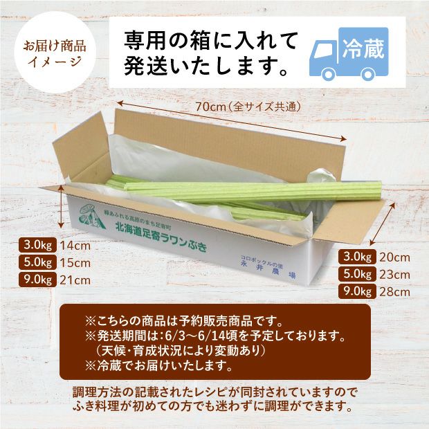 足寄町特産ラワンぶき5.0kg｜北海道 十勝 ふき お取り寄せ ギフト｜食べレア北海道【公式通販】