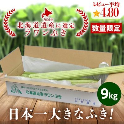 足寄町特産ラワンぶき9.0kg｜北海道 十勝 ふき お取り寄せ ギフト