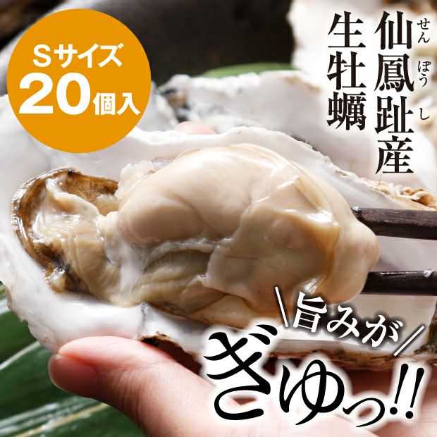 濃厚クリーミー 仙鳳趾の生牡蠣 Sサイズ 詰合せ 釧路 お取り寄せ 食べレア北海道 公式通販 濃厚クリーミー 仙鳳趾の生牡蠣 Sサイズ 詰合せ 釧路 お取り寄せ 食べレア北海道 公式通販