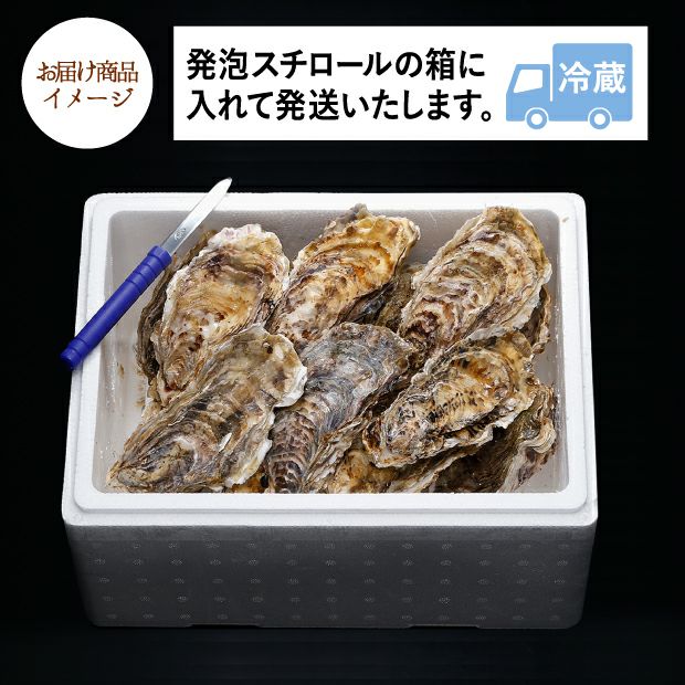 濃厚クリーミー 仙鳳趾の生牡蠣 Sサイズ 詰合せ 釧路 お取り寄せ 食べレア北海道 公式通販 濃厚クリーミー 仙鳳趾の生牡蠣 Sサイズ 詰合せ 釧路 お取り寄せ 食べレア北海道 公式通販