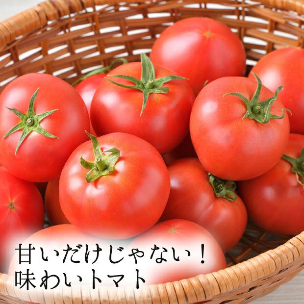 ファームフジタの高糖度フルーツトマト｜トマト 野菜 ｜食べレア