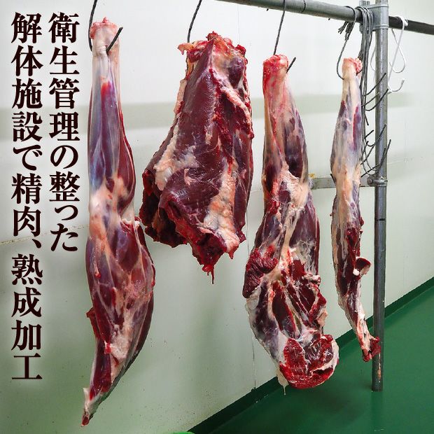 エゾ鹿肉　肩ロースブロック400g