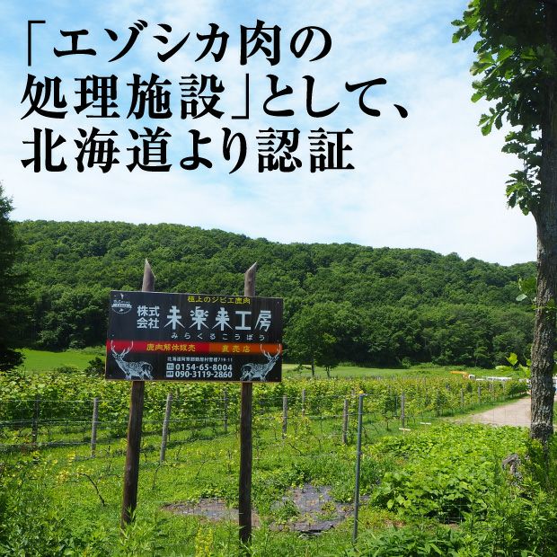 エゾ鹿肉　肩ロースブロック400g