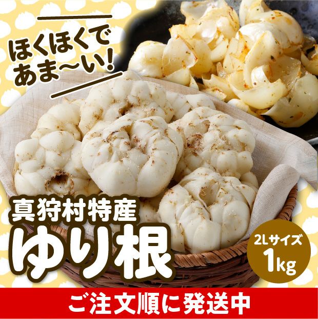 真狩産 ゆり根 ２Lサイズ