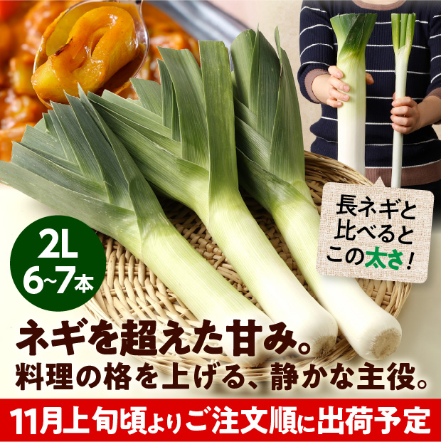 十勝リーキ（2Lサイズ：6～7本）