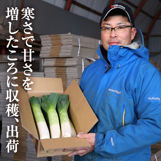 十勝リーキ（2Lサイズ：6～7本）