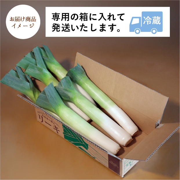 十勝リーキ（2Lサイズ：6～7本）