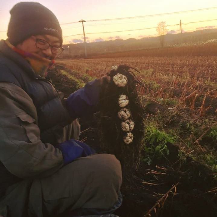 ナウマンボール 十勝 かまぼこ ゆり根 お取り寄せ 食べレア北海道 公式通販 ナウマンボール 十勝 かまぼこ ゆり根 お取り寄せ 食べレア北海道 公式通販