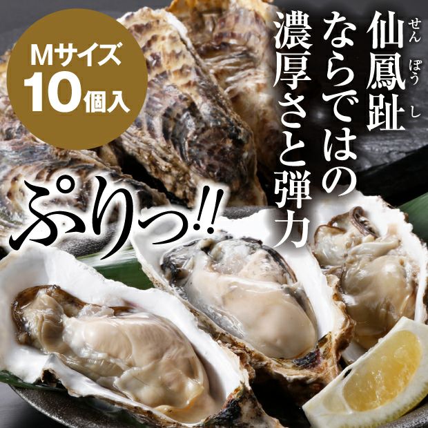 濃厚クリーミー】 仙鳳趾の生牡蠣（M・10個入）詰合せ | 食べレア北海道 - 北海道の食材の「レア」な魅力を全国に発信する通販サイト