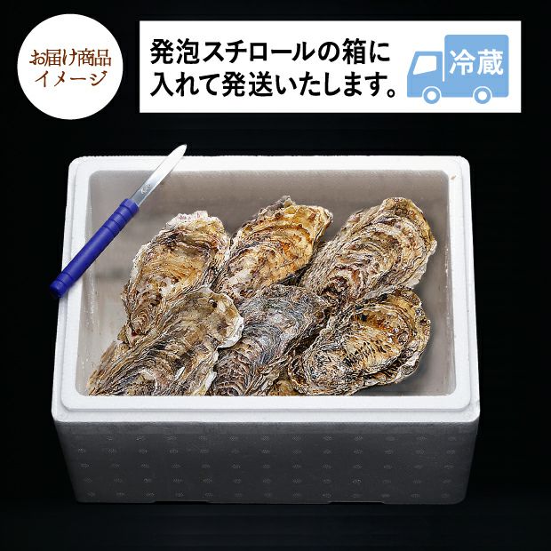 濃厚クリーミー】 仙鳳趾の生牡蠣（M・10個入）詰合せ | 食べレア北海道 - 北海道の食材の「レア」な魅力を全国に発信する通販サイト