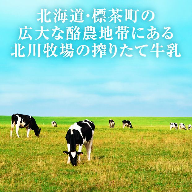 バニラアイスクリーム