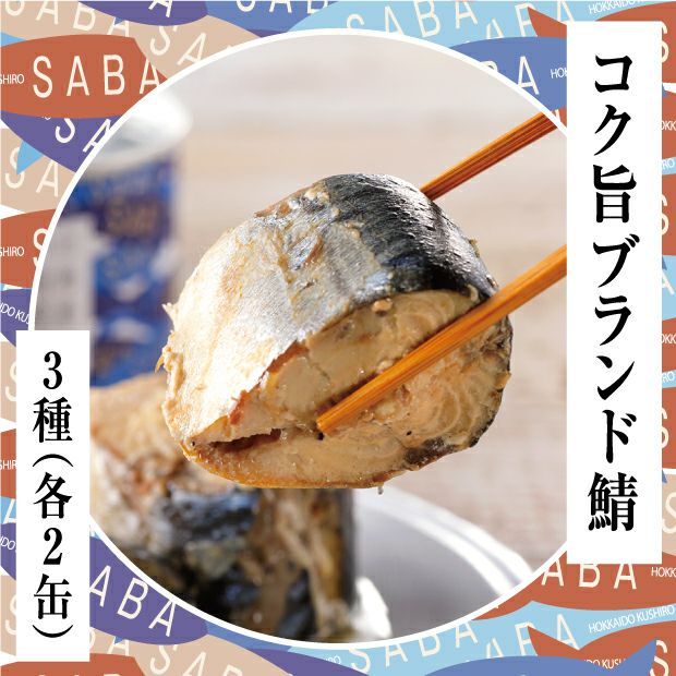 とても美味しそうな鯖の箸上げ