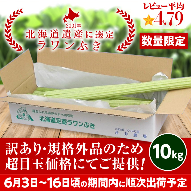 規格外 若採り生ラワンぶき 10kg