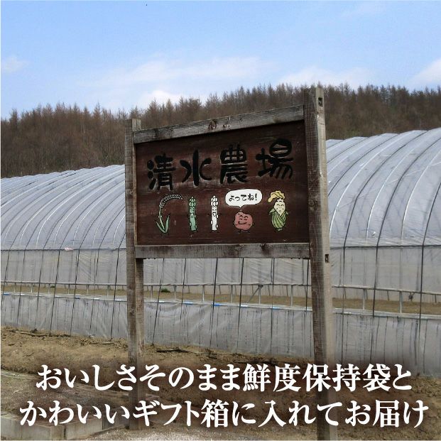 栗山産 グリーンアスパラ（ハウス栽培） 3L/2L混 800ｇ
