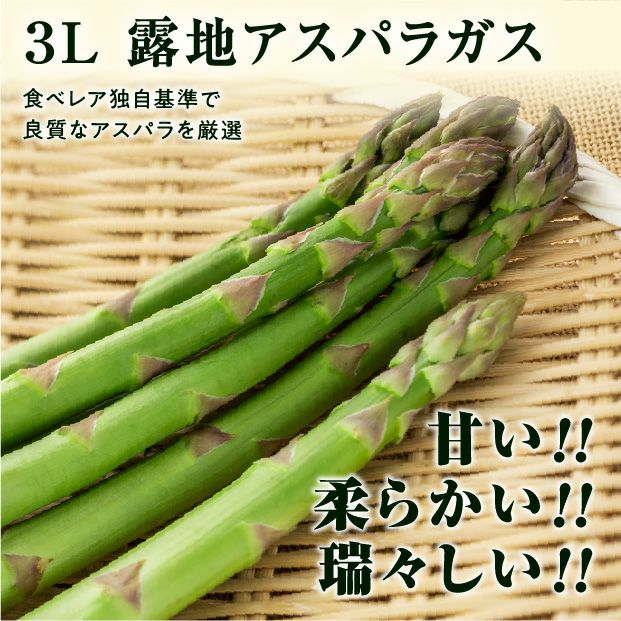 グリーンアスパラ「龍の髭」3L 1kg｜北海道 十勝 産直 お取り寄せ