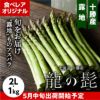 十勝産グリーンアスパラ「龍の髭」 2L 1㎏