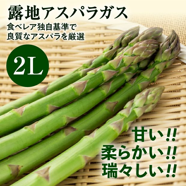 十勝産グリーンアスパラ「龍の髭」 2L 1㎏