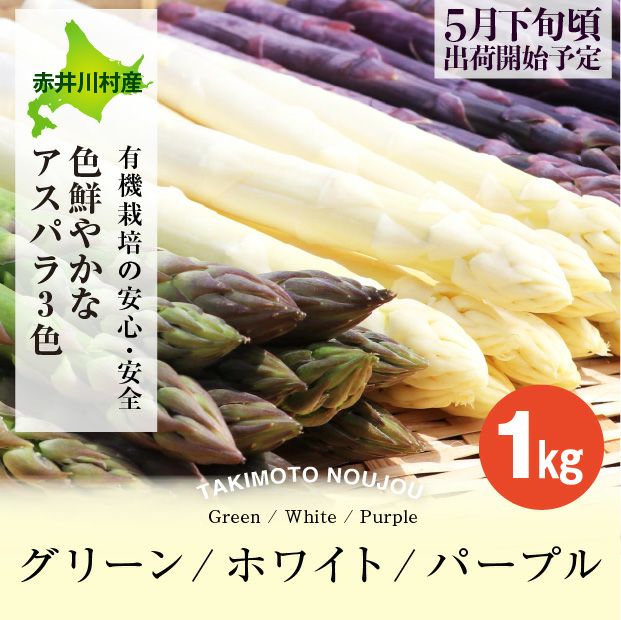 新鮮なグリーン・ホワイト・パープル 3色のアスパラ