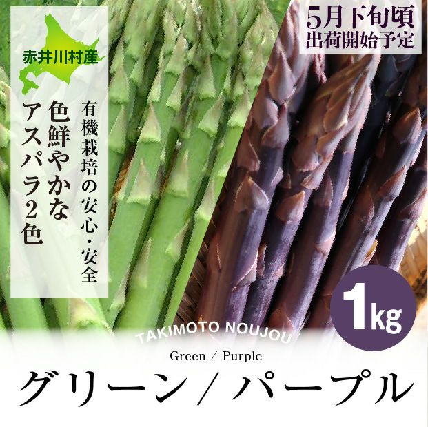 新鮮なグリーン・パープルアスパラ