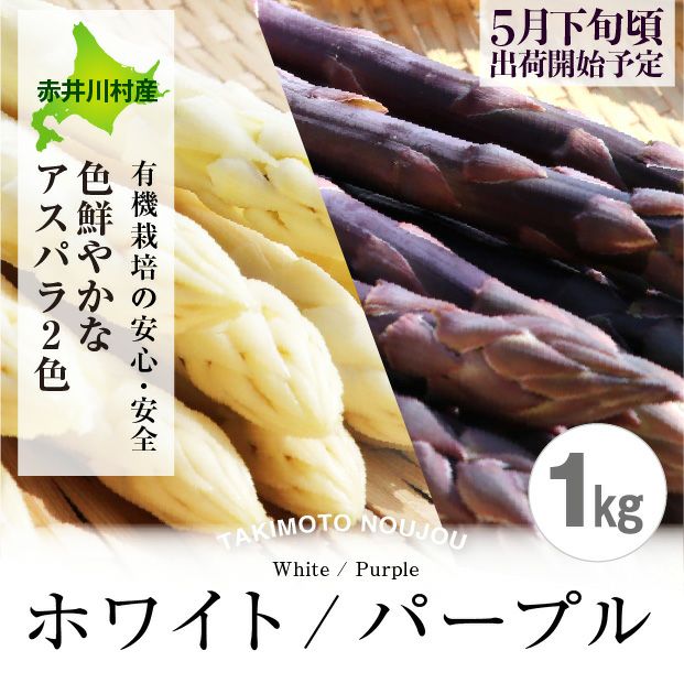 新鮮なホワイト・パープルアスパラ