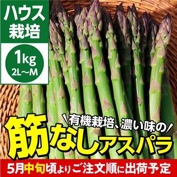 新鮮で美味しそうな有機栽培グリーンアスパラ