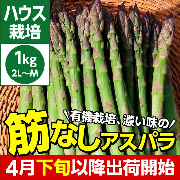 新鮮で美味しそうな有機栽培グリーンアスパラ