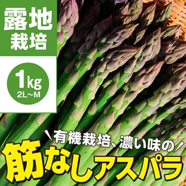 赤井川村産 有機栽培グリーンアスパラ1kg（露地）