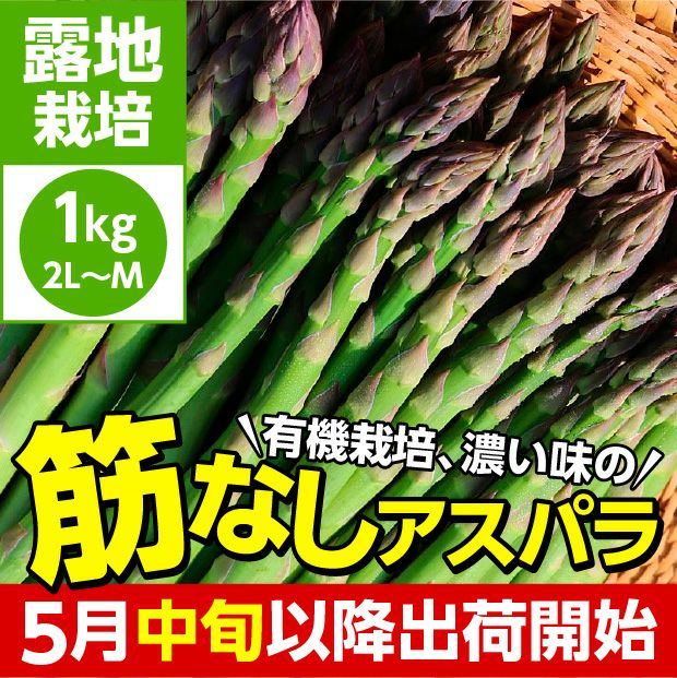 新鮮で美味しそうな有機栽培グリーンアスパラ