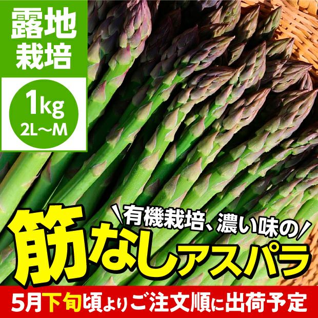新鮮で美味しそうな有機栽培グリーンアスパラ
