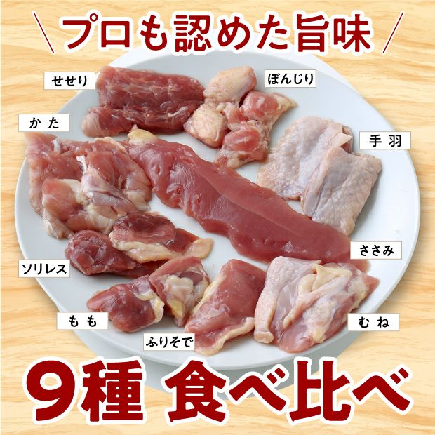 宝きじづくし