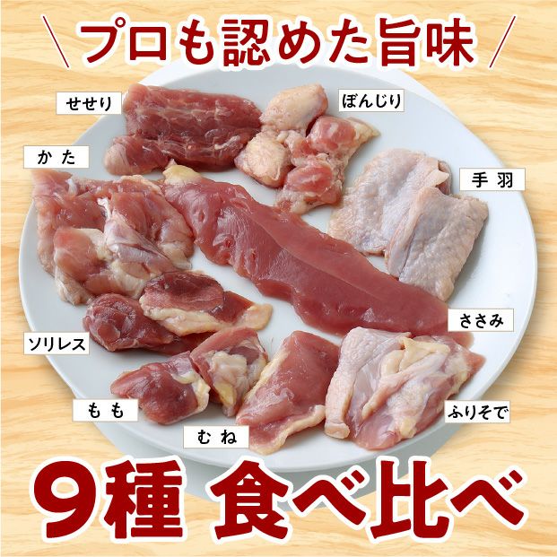 宝きじづくし