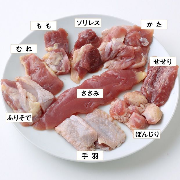 宝きじづくし