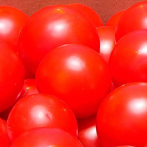 有機栽培フルティカトマト（中玉） 2kg