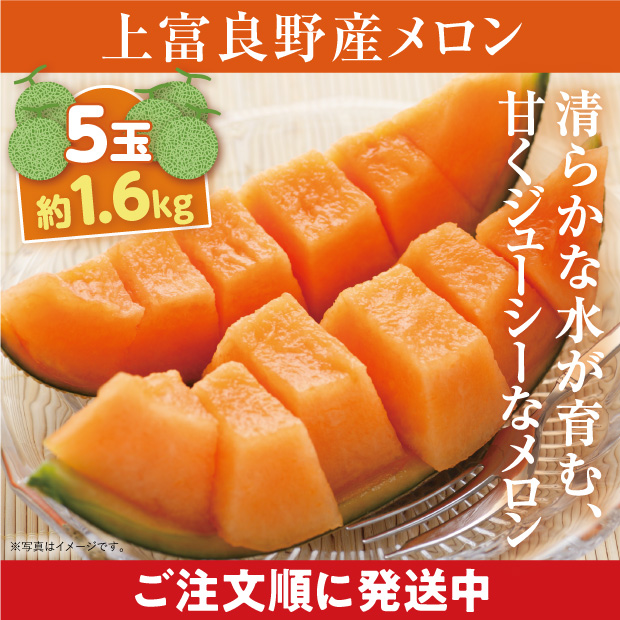 上富良野産メロン ルピアレッド 秀品 約1.6㎏ 5玉