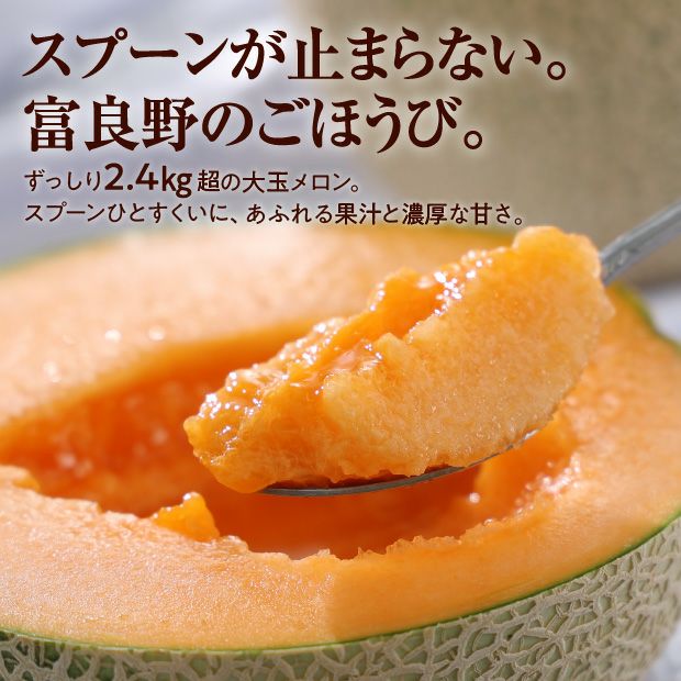 【食べレア限定】 富良野メロン NORTH PREMIUM 約2.4kg以上 1玉