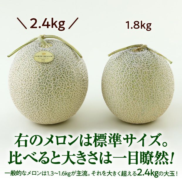【食べレア限定】 富良野メロン NORTH PREMIUM 約2.4kg以上 1玉