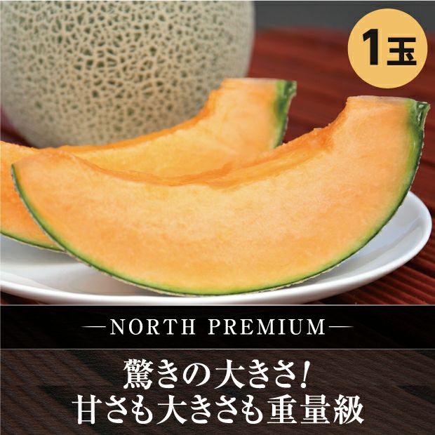 富良野メロン NORTH PREMIUM 約2.3kg 1玉